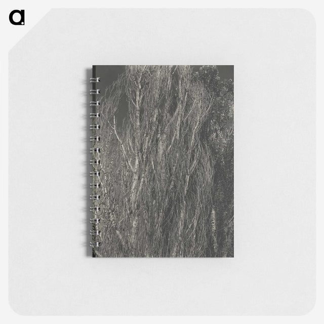 2-41_Alfred-Stieglitz_memo