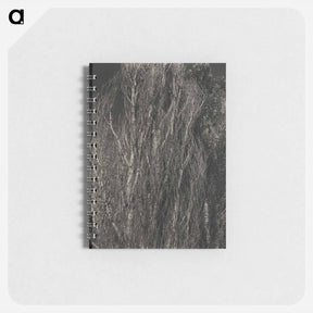アートメモ帳-Poplars—Lake George - アルフレッド スティーグリッツ Memo.