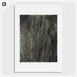 2-41_Alfred-Stieglitz_picture