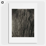 Poplars—Lake George - アルフレッド スティーグリッツ Poster.