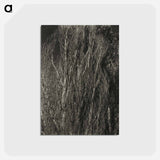 アートポストカード-Poplars—Lake George - アルフレッド スティーグリッツ Postcard.