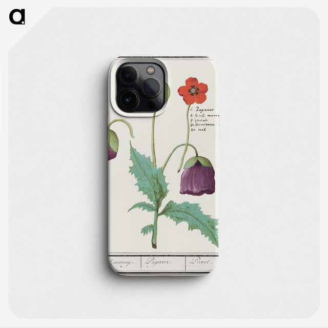2-41_Anselmus-Boetius-de-Boodt_phone