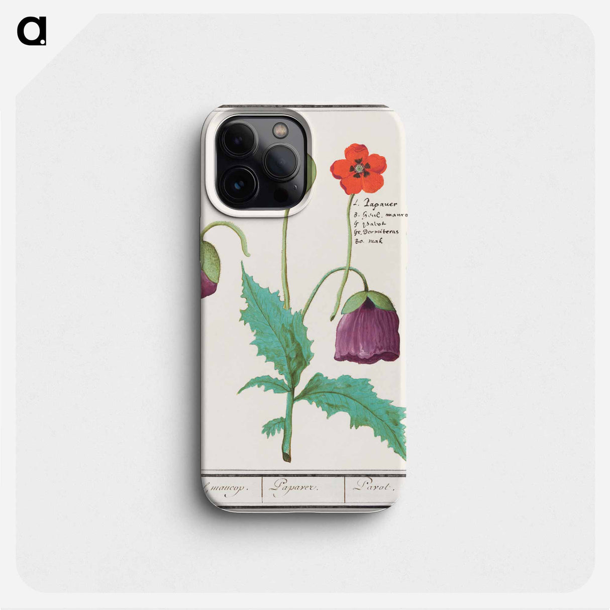 Poppy, Papaver - アンセルムス ボエティウス デ ブート Phone Case.