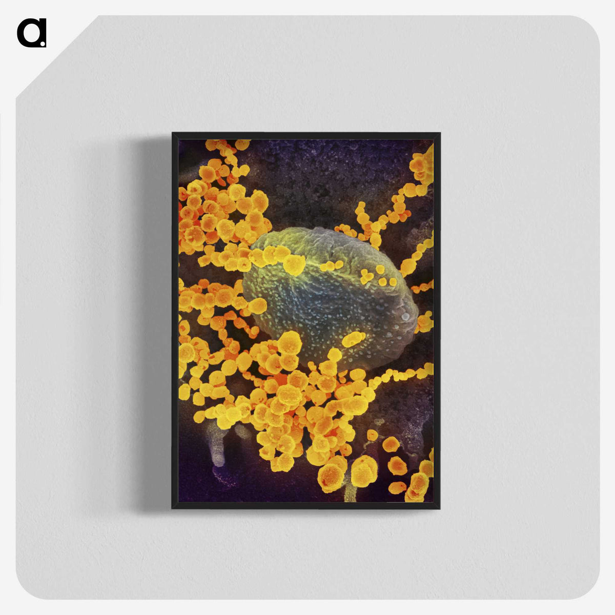 2-41_COVID-19_blk-crop