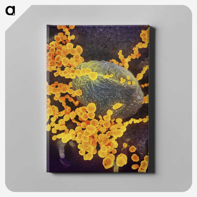 2-41_COVID-19_canvas