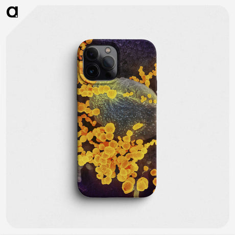 2-41_COVID-19_phone