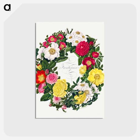 アートポストカード-A Wreath of Roses
 - クリーブランド美術館 Postcard.