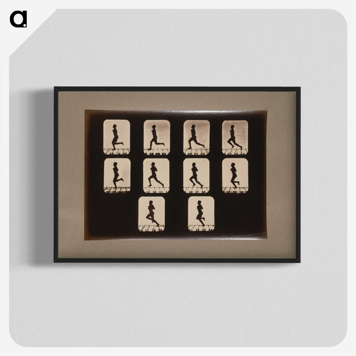 2-41_Eadweard-Muybridge_blk-crop