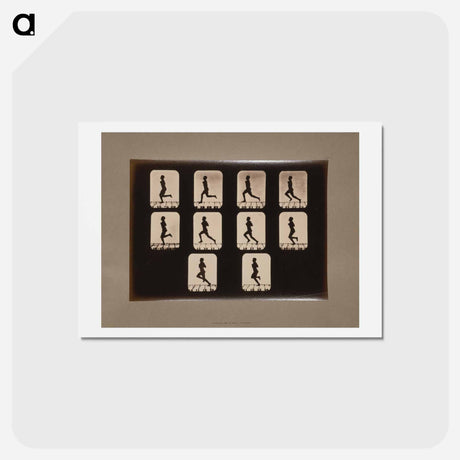 アートポストカード-Running Athletes
 - エドワード マイブリッジ Postcard.