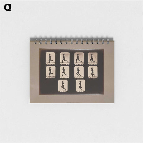 2-41_Eadweard-Muybridge_memo