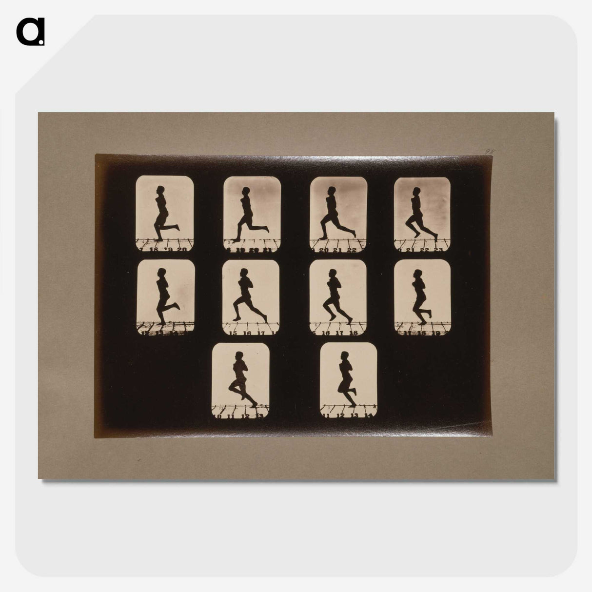 2-41_Eadweard-Muybridge_picture-crop