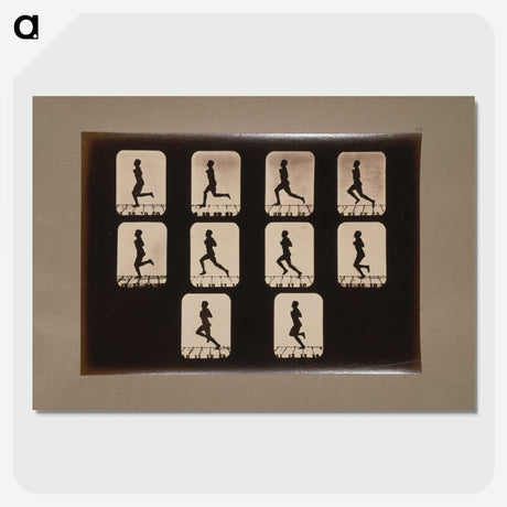 2-41_Eadweard-Muybridge_picture-crop