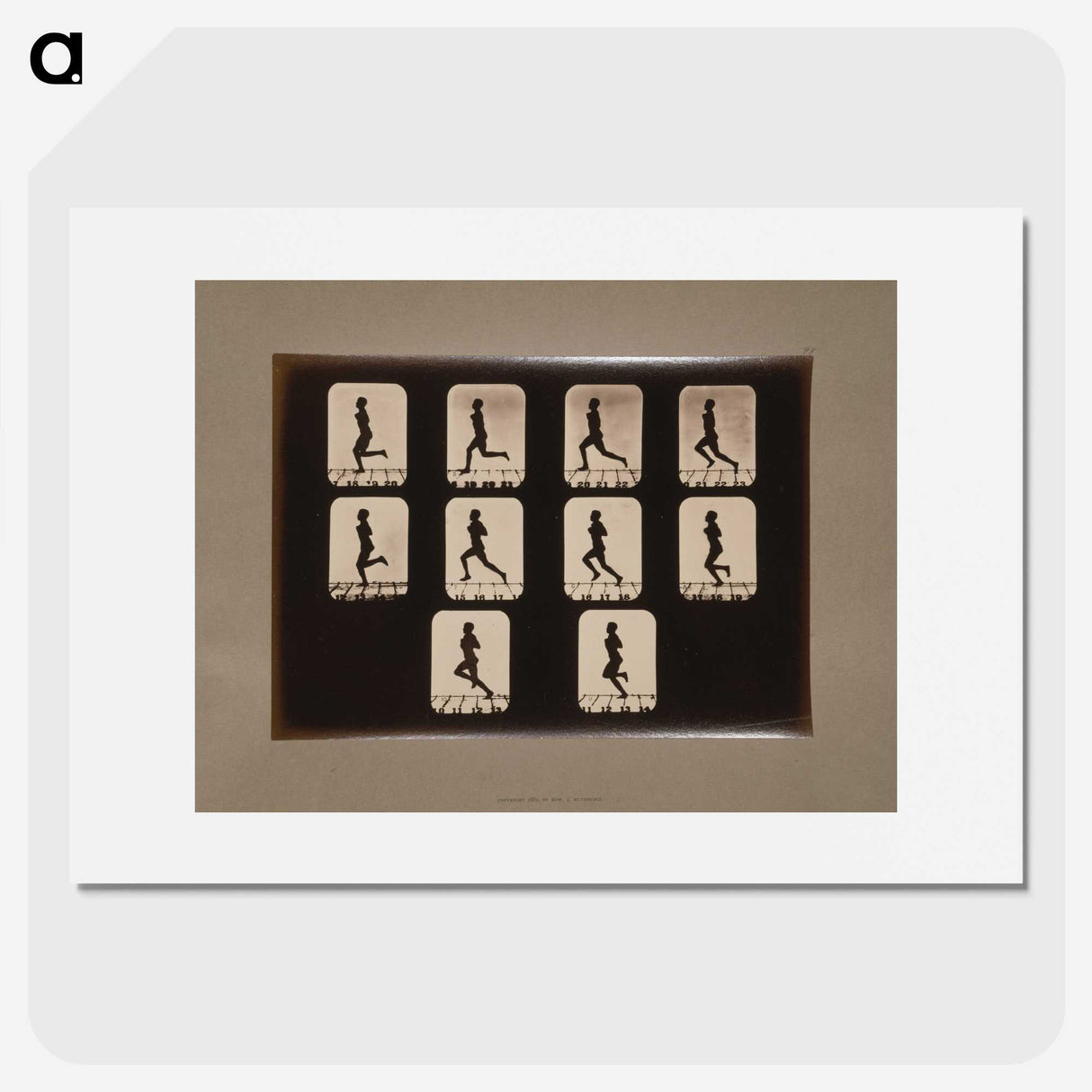 2-41_Eadweard-Muybridge_picture