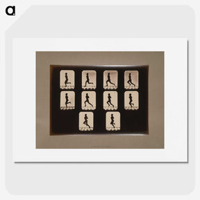 2-41_Eadweard-Muybridge_picture