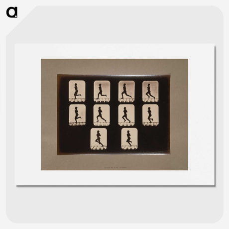 2-41_Eadweard-Muybridge_picture