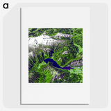 2-41_Earth-from-Above_picture