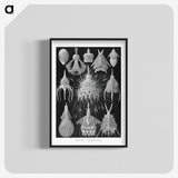 2-41_Ernst-Haeckel_blk-crop