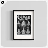 2-41_Ernst-Haeckel_blk