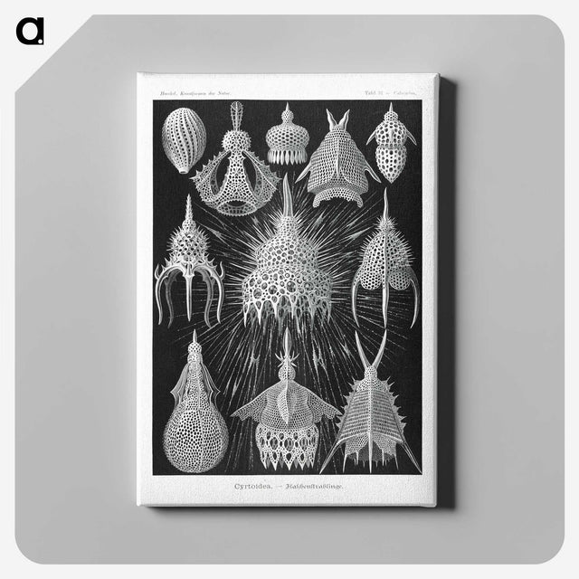 2-41_Ernst-Haeckel_canvas