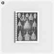 2-41_Ernst-Haeckel_memo