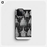 2-41_Ernst-Haeckel_phone