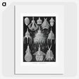 2-41_Ernst-Haeckel_picture