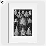 2-41_Ernst-Haeckel_picture