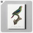 2-41_Francois-Levaillant_canvas