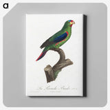 2-41_Francois-Levaillant_canvas