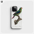 2-41_Francois-Levaillant_phone