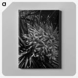 2-41_Frederick-Charles-Brockett_canvas