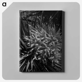 2-41_Frederick-Charles-Brockett_canvas