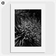 2-41_Frederick-Charles-Brockett_picture