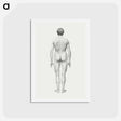 アートポストカード-Human Figure, Posterior View
 - ジョージ スタッブス Postcard.