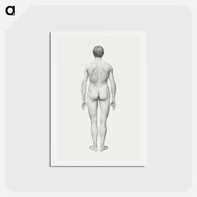 アートポストカード-Human Figure, Posterior View
 - ジョージ スタッブス Postcard.