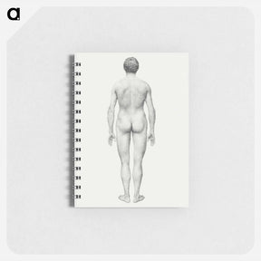 アートメモ帳-Human Figure, Posterior View
 - ジョージ スタッブス Memo.