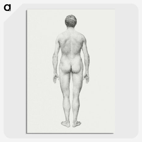 2-41_George-Stubbs_picture-crop