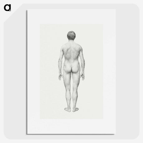 2-41_George-Stubbs_picture