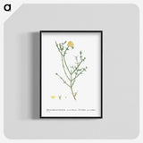 2-41_Histoire-des-Plantes-Grasses_blk-crop