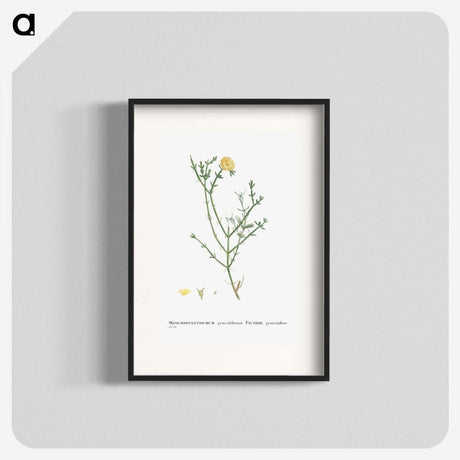 2-41_Histoire-des-Plantes-Grasses_blk