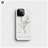 2-41_Histoire-des-Plantes-Grasses_phone
