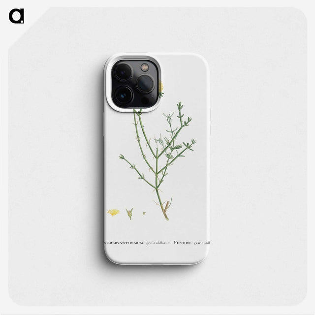 2-41_Histoire-des-Plantes-Grasses_phone
