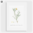 2-41_Histoire-des-Plantes-Grasses_picture