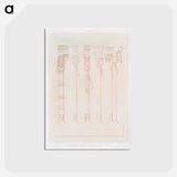 アートポストカード-Egyptian Columns and Aedicules
 - エジプト美術史 Postcard.