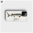 2-41_Ichtyologie-ou-Histoire-naturelle_phone