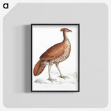 2-41_Indian-Zoology_blk-crop