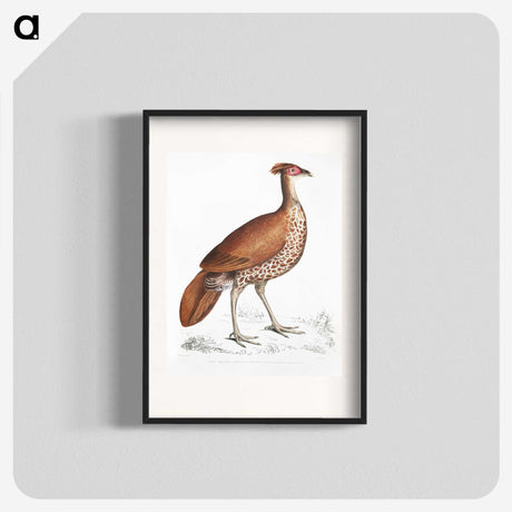 2-41_Indian-Zoology_blk