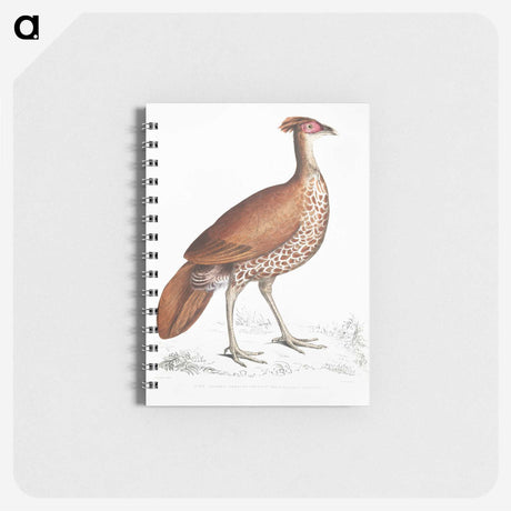 2-41_Indian-Zoology_memo