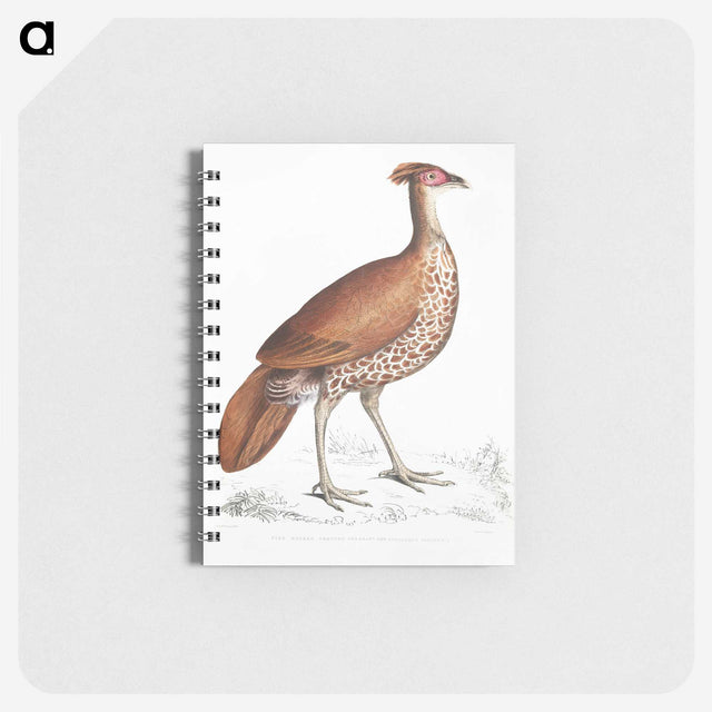 2-41_Indian-Zoology_memo