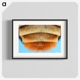 2-41_Insects-Unlocked-Project_blk